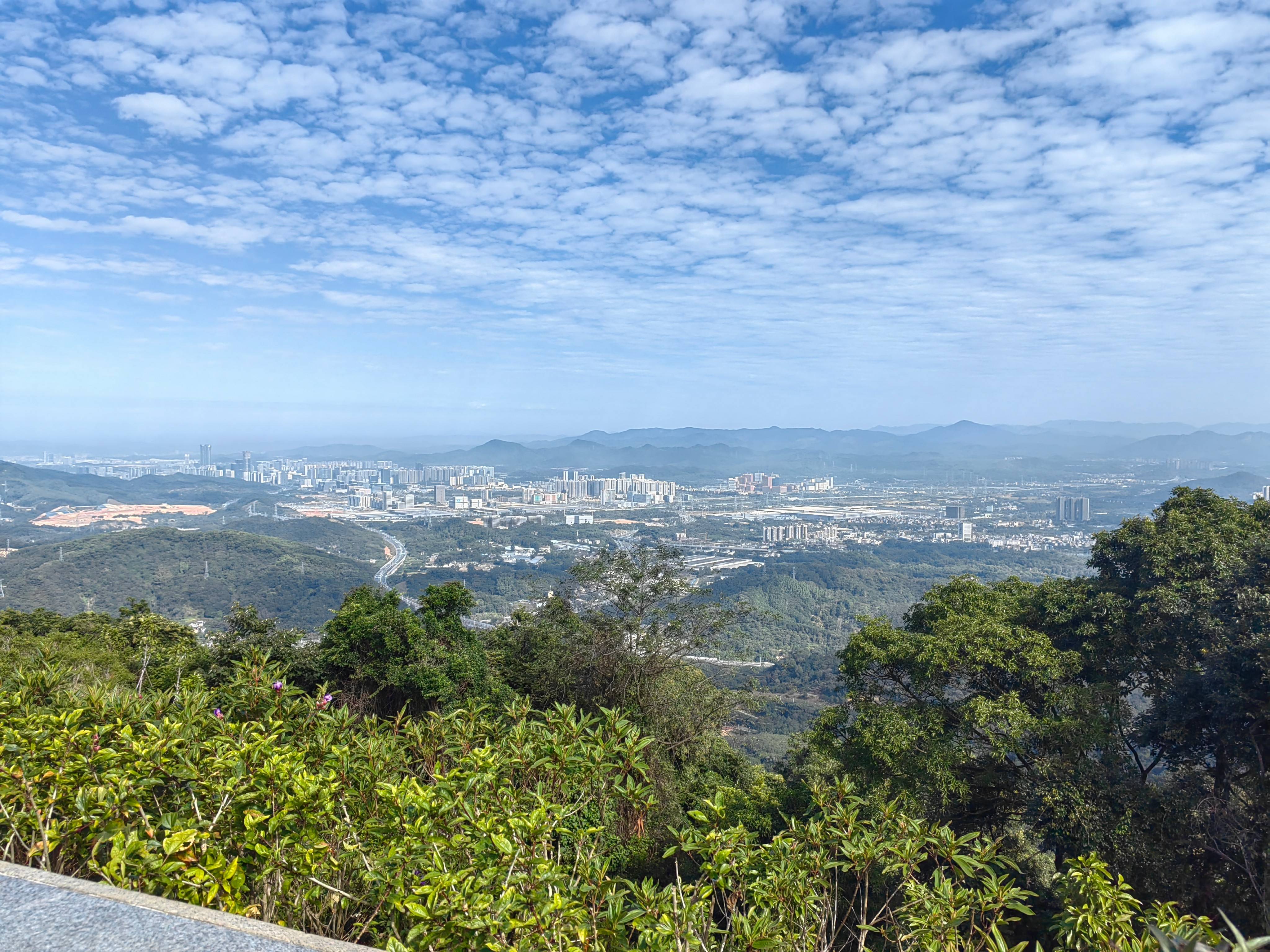 02e43fb774c59ad7f8ecb106d5589cf9.jpg IMG_20241130_104016(1).jpg